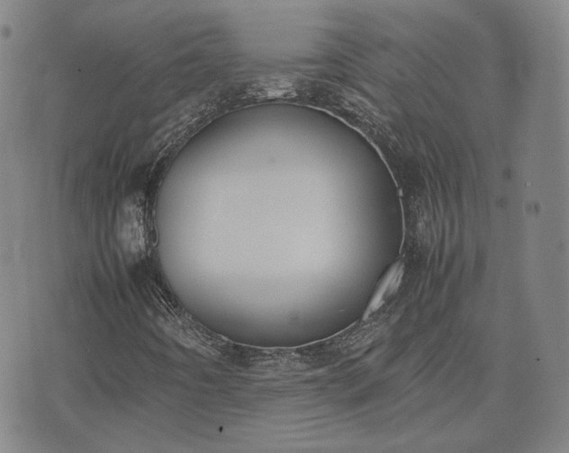 X0000074311442200609011500