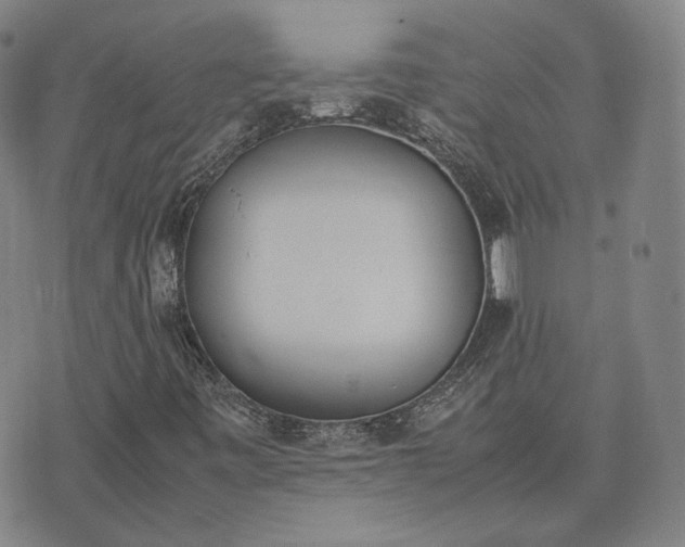 X0000074311443200609011500