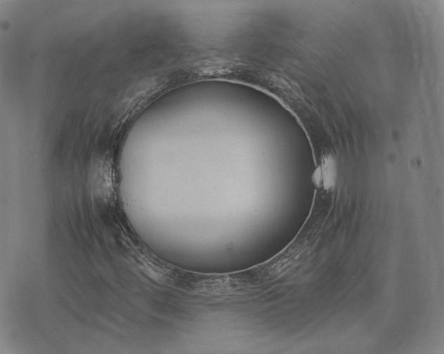 X0000074311444200609011500