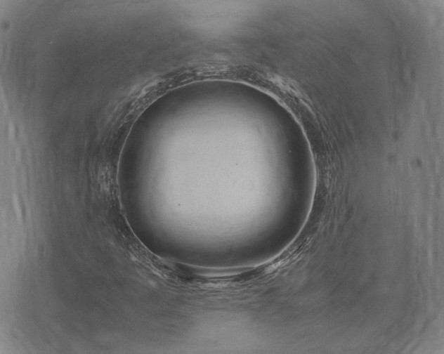 X0000074311445200609011500