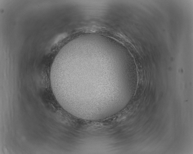 X0000074311446200609011500