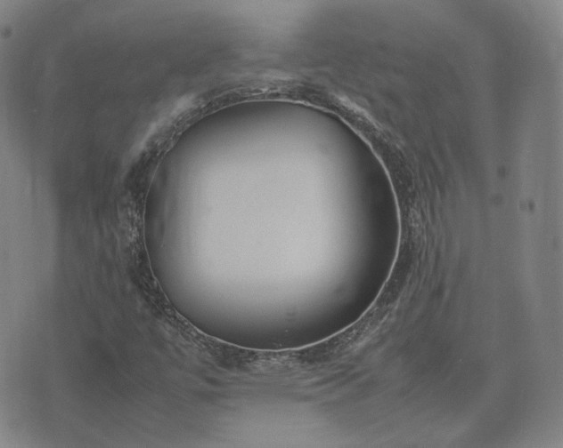 X0000074311447200609011500