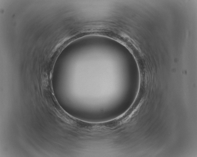 X0000074311449200609011500