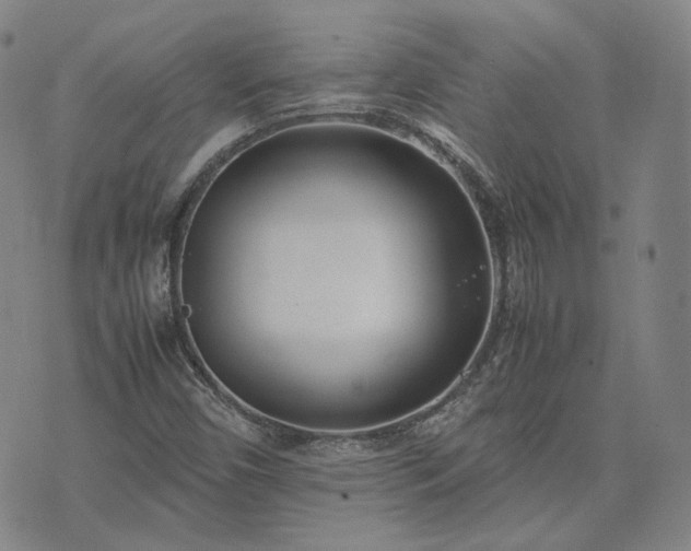 X0000074311450200609011500