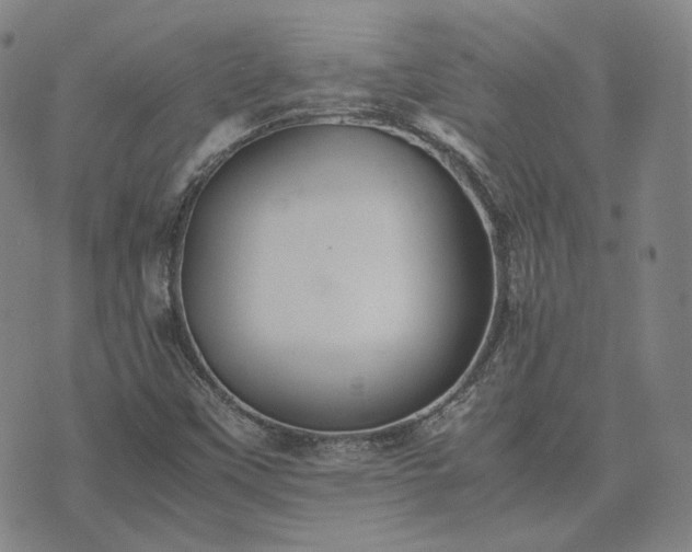 X0000074311451200609011500