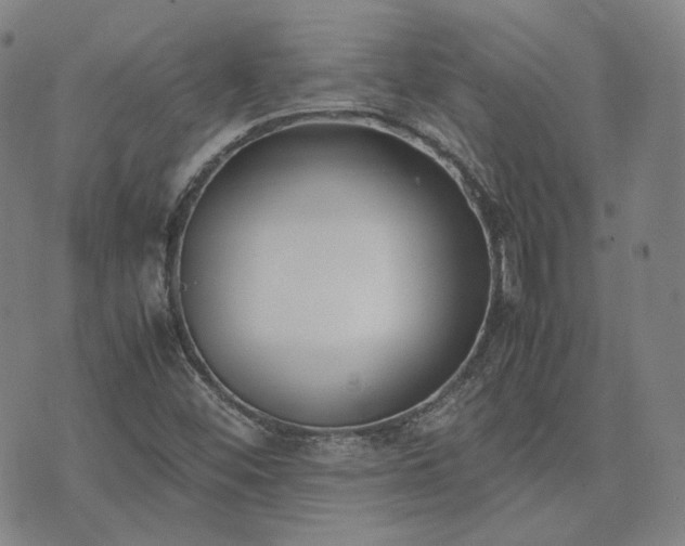 X0000074311452200609011500