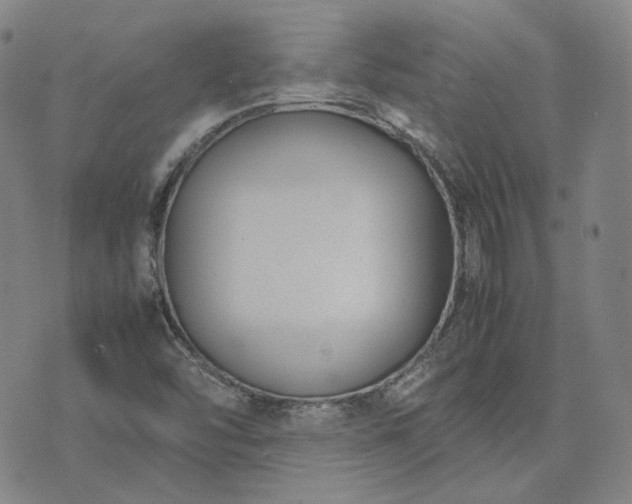 X0000074311454200609011500