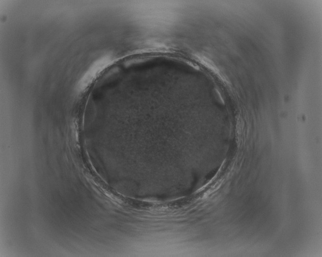 X0000074311455200609011500