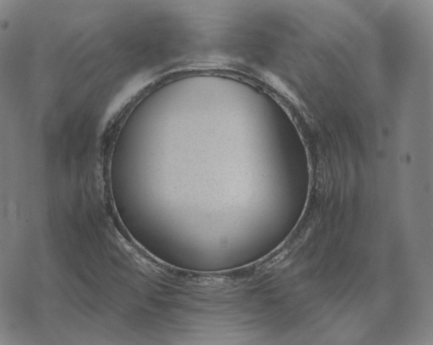 X0000074311456200609011500