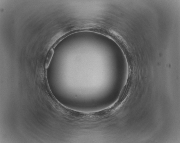 X0000074311457200609011500