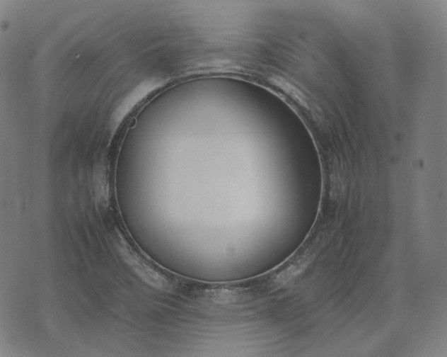 X0000074311458200609011500