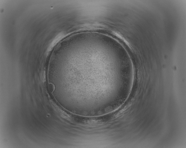 X0000074311459200609011500