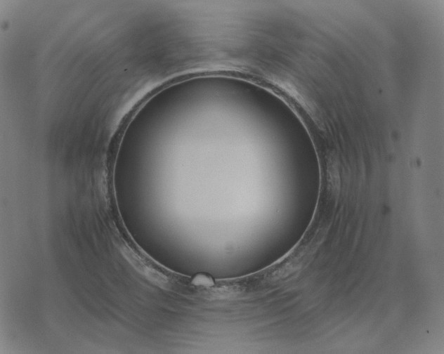 X0000074311460200609011500