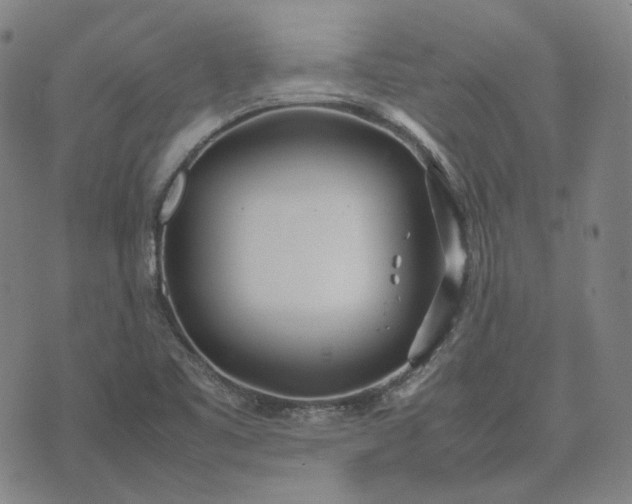 X0000074311461200609011500