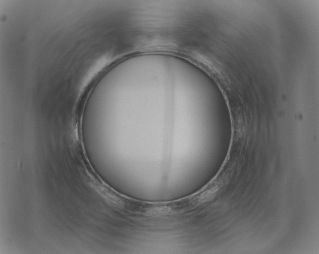 X0000074311462200609011500