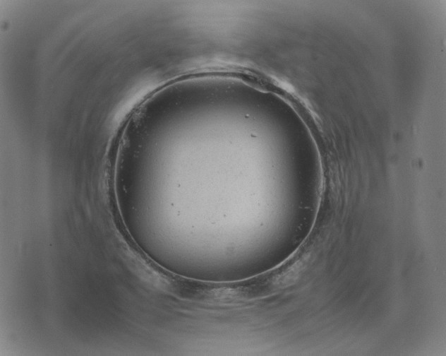 X0000074311463200609011500