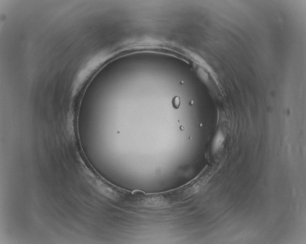 X0000074311464200609011500