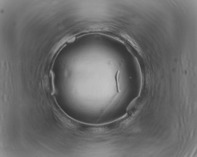 X0000074311465200609011500