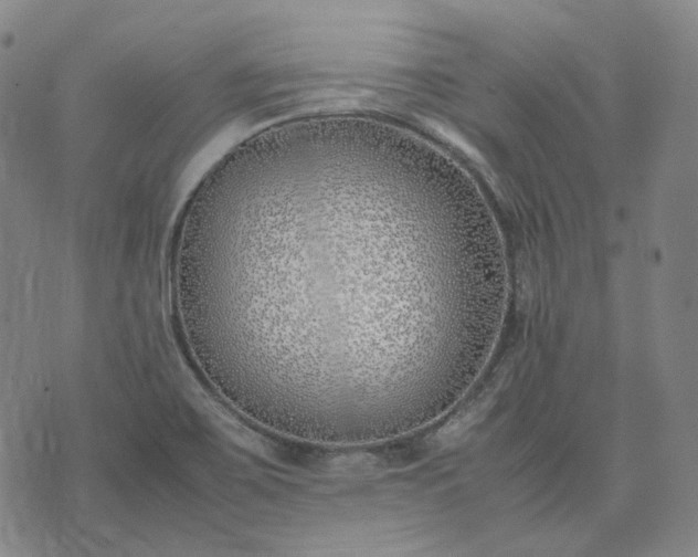 X0000074311467200609011500