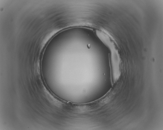 X0000074311468200609011500