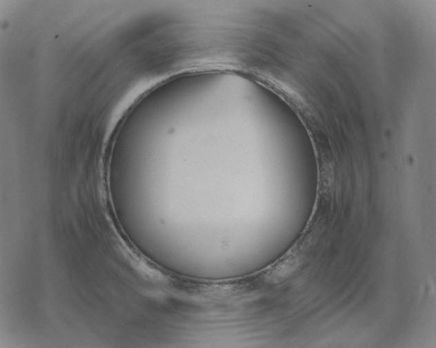 X0000074311470200609011500