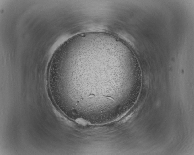 X0000074311471200609011500