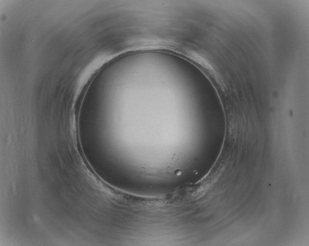 X0000074311472200609011500