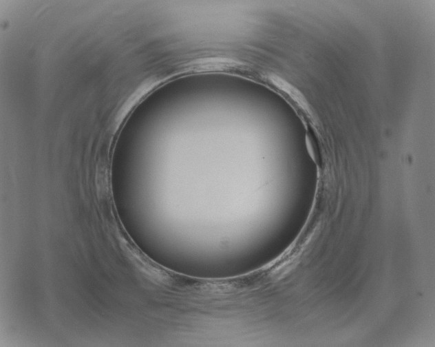 X0000074311473200609011500