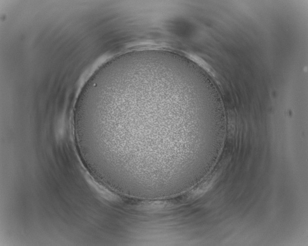 X0000074311474200609011500