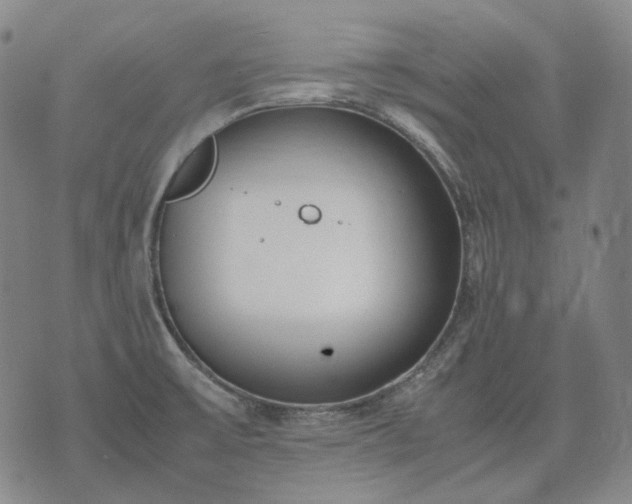 X0000074311475200609011500