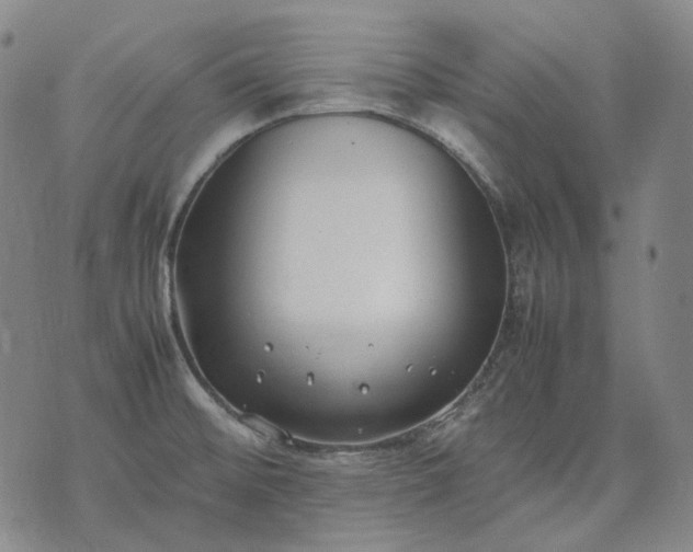 X0000074311476200609011500