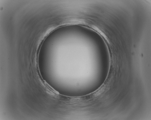 X0000074311477200609011500