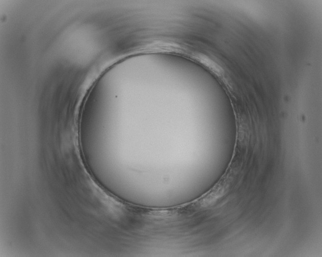 X0000074311478200609011500