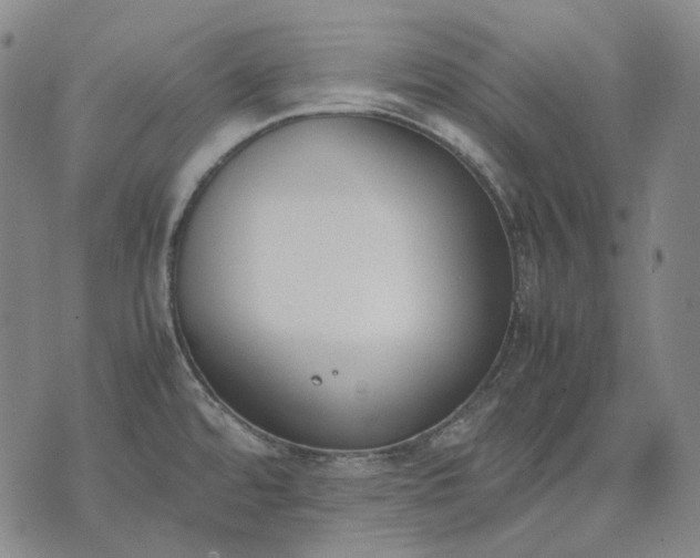 X0000074311480200609011500