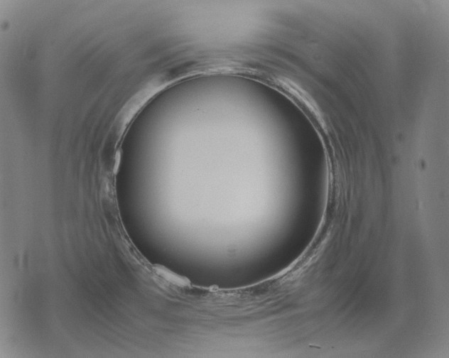 X0000074311481200609011500