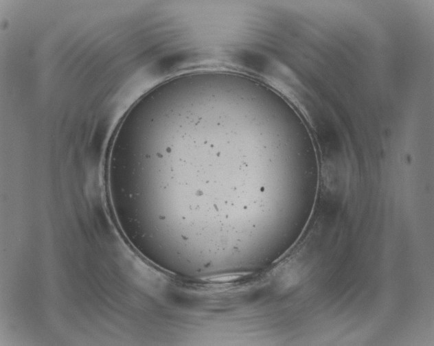 X0000074311482200609011500