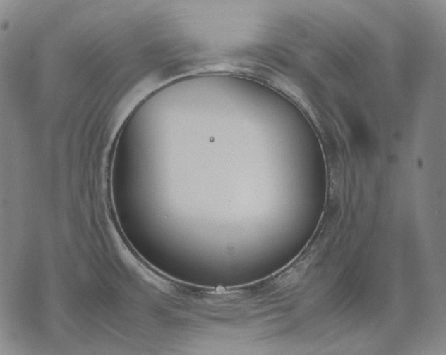 X0000074311483200609011500