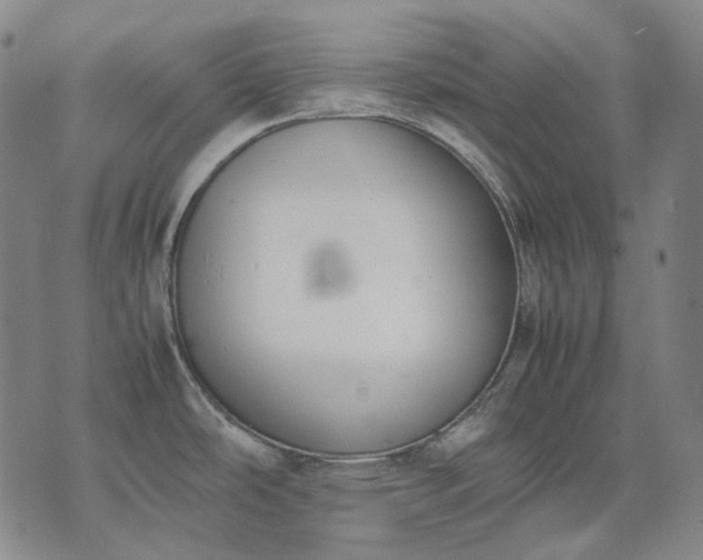 X0000074311486200609011459