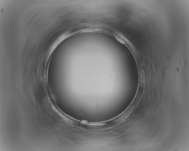 X0000074311487200609011459