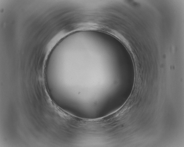 X0000074311488200609011459