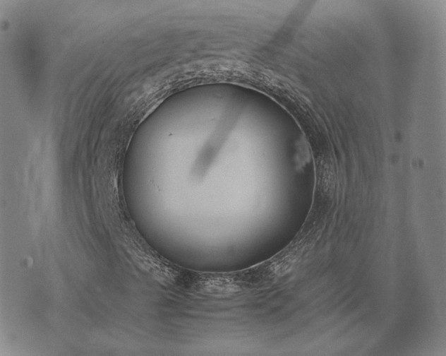 X0000074311489200609011459