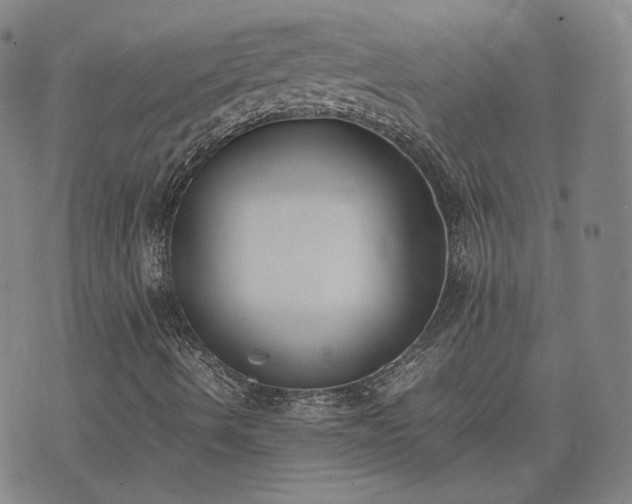 X0000074311490200609011459