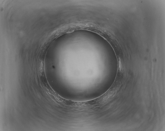 X0000074311492200609011459