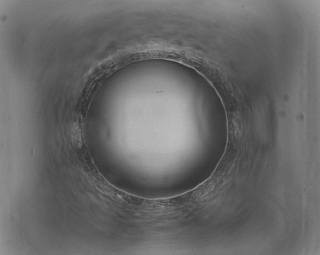 X0000074311493200609011459