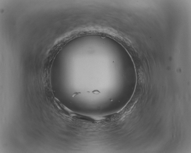 X0000074311494200609011459