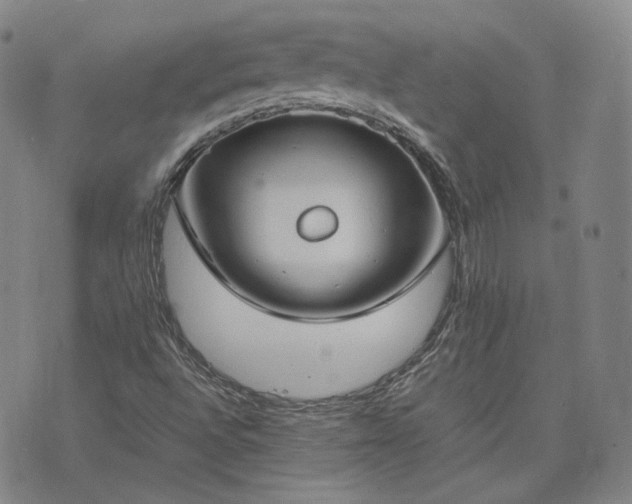 X0000074311496200609011459