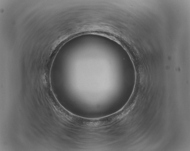 X0000074311497200609011459