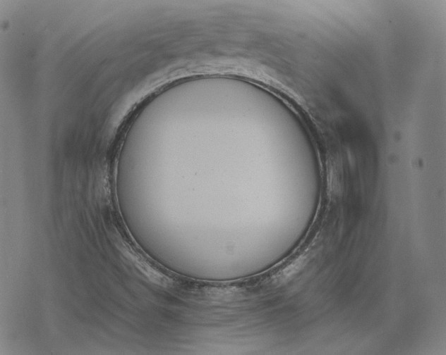 X0000074311498200609011459