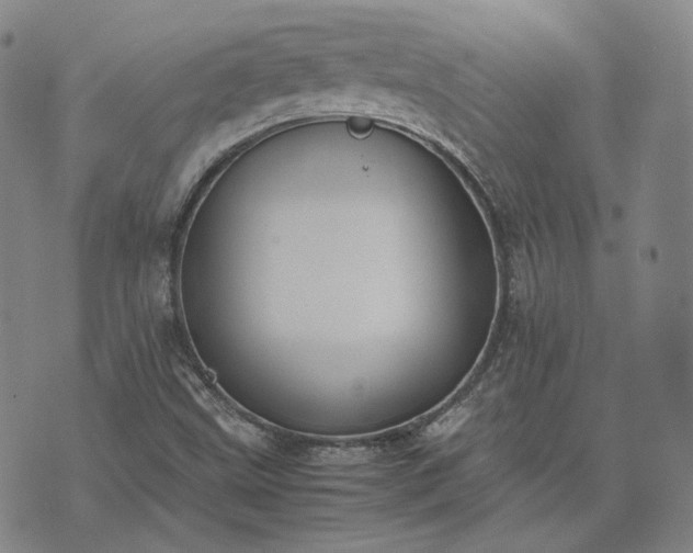 X0000074311499200609011459