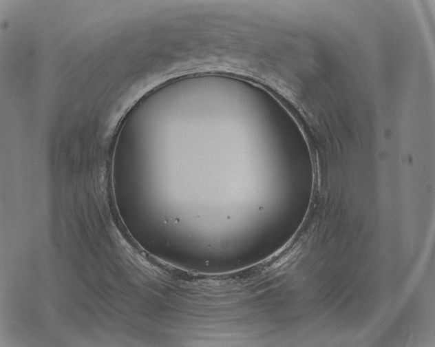 X0000074311500200609011459